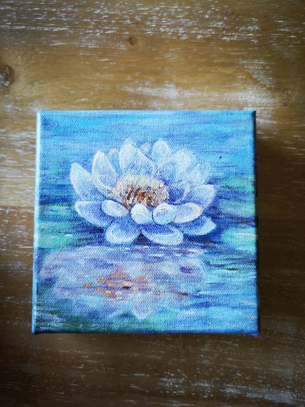 Water Lily (white) by Stephanie McGregor