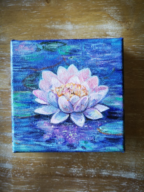 Water Lily (pink) by Stephanie McGregor