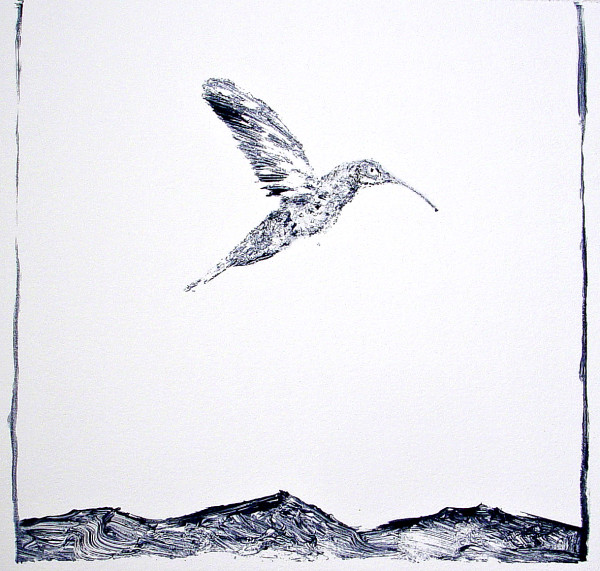 Hummimgbird by Rhett Lynch