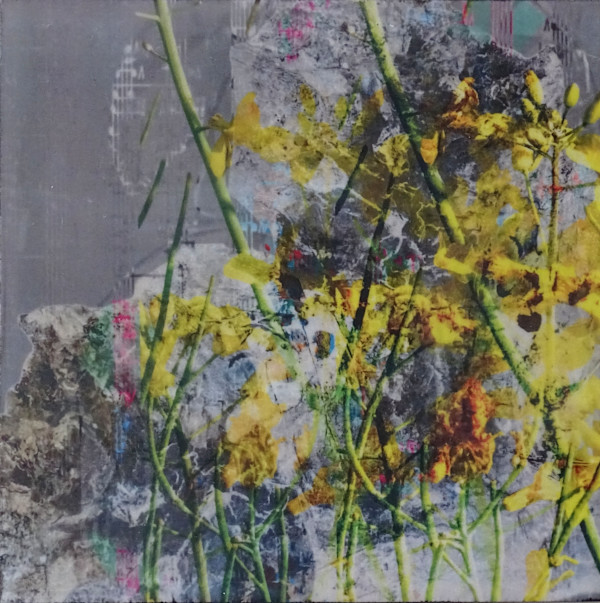 Projekt 66 - Nr. 32 by mokart by katharina moser, Image 1.