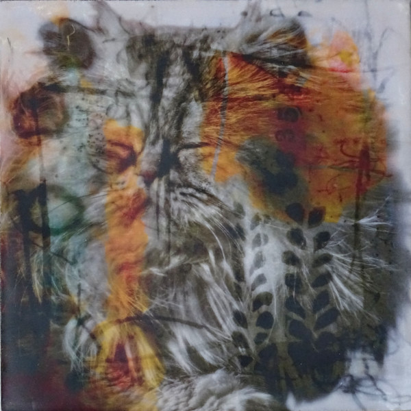 Projekt 66 - Nr. 23 by mokart by katharina moser, Image 1.