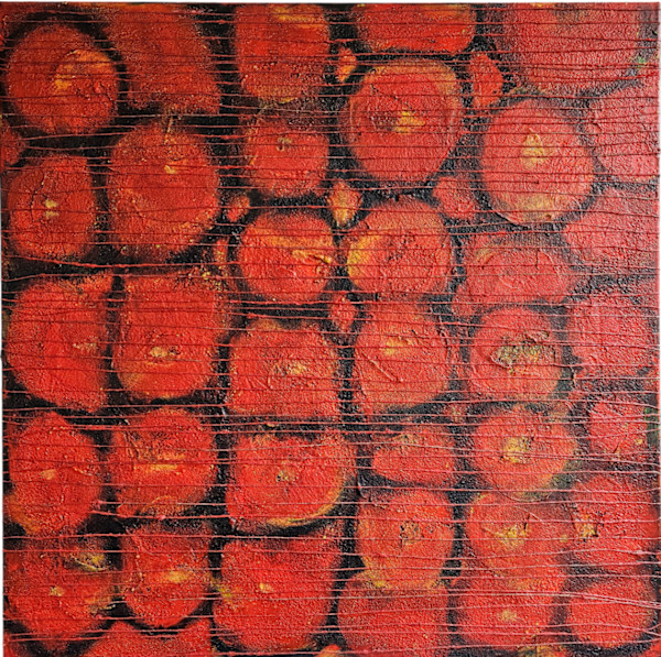 Poppy Field by Katharina Moser