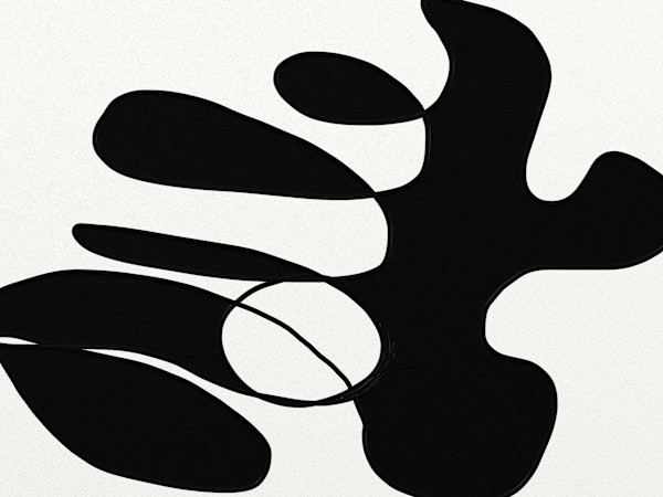 POSITIVE NEGATIVE 1 by Linda Adler