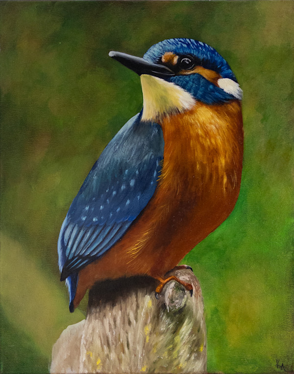Silent Observer by Katheryn Anne