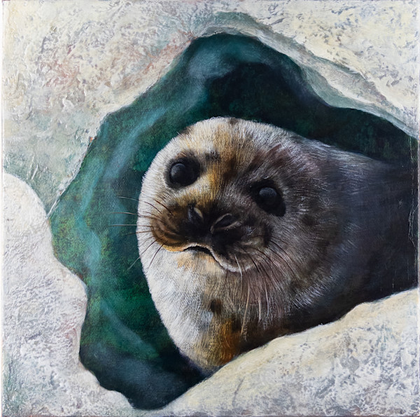 Warm Eyes in the Cold Arctic by Katheryn Anne Hande