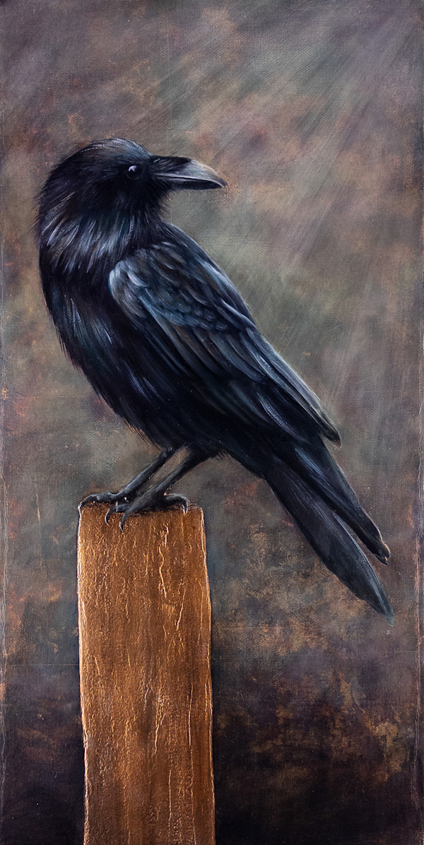 See Light Through the Shadows by Katheryn Anne Hande