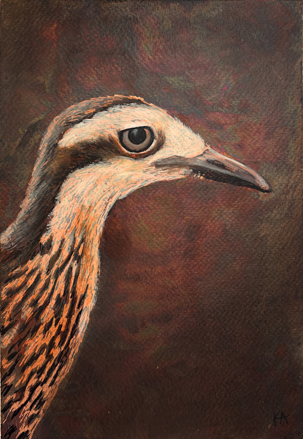 Eurasian Stone-Curlew No. 2 by Katheryn Anne Hande, Image 1.