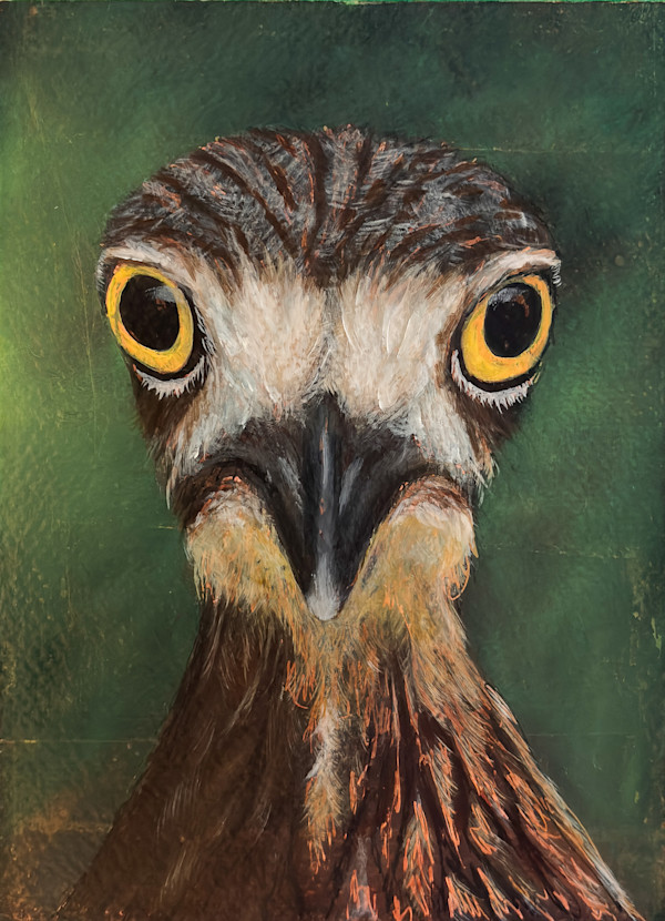 Eurasian Stone-Curlew No. 3 by Katheryn Anne Hande, Image 1.