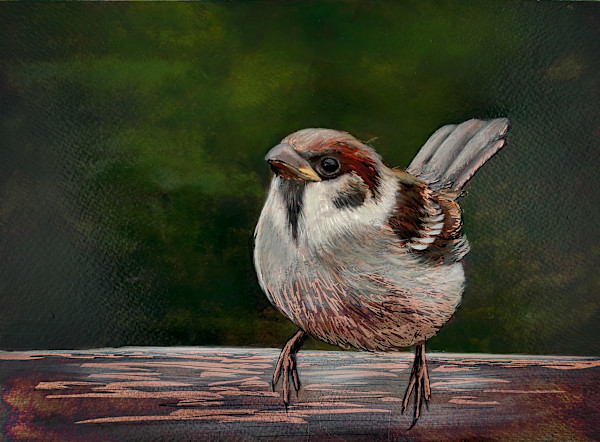 Sparrow No. 2 by Katheryn Anne Hande, Image 1.