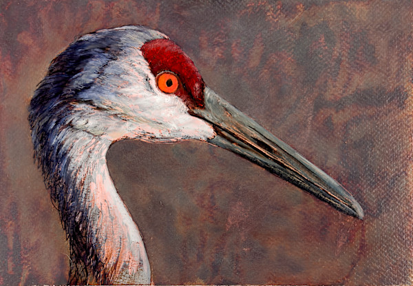 Sandhill Crane No. 1 by Katheryn Anne Hande, Image 1.