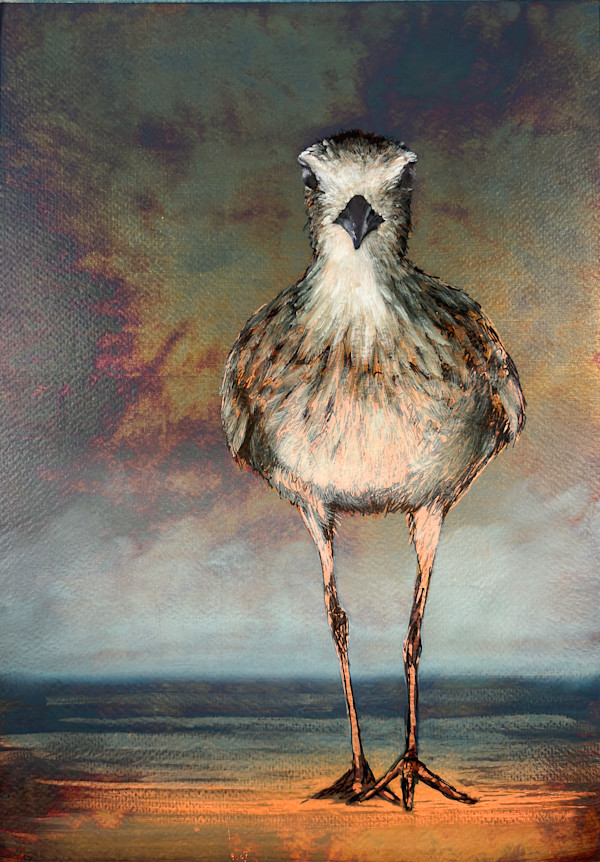 Plover No. 1 by Katheryn Anne Hande, Image 1.