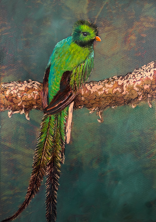 Resplendent Quetzal No. 1 by Katheryn Anne Hande, Image 1.