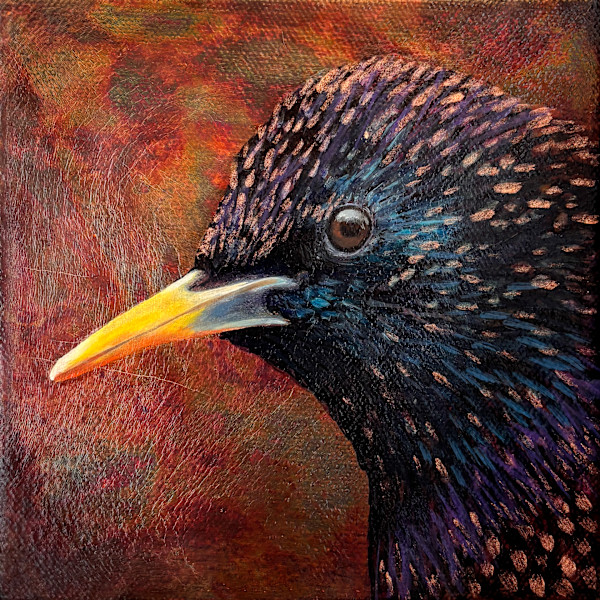 Luminous Gaze by Katheryn Anne Hande, Image 3.