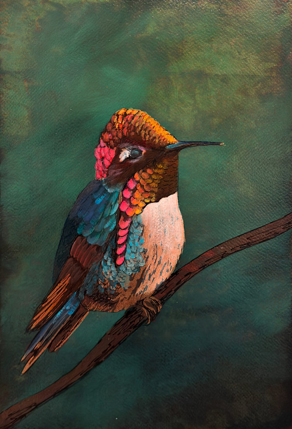 Hummingbird No. 12 by Katheryn Anne Hande, Image 1.