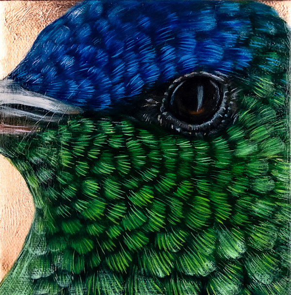 Jewel of the Air, A Closer Look by Katheryn Anne Hande