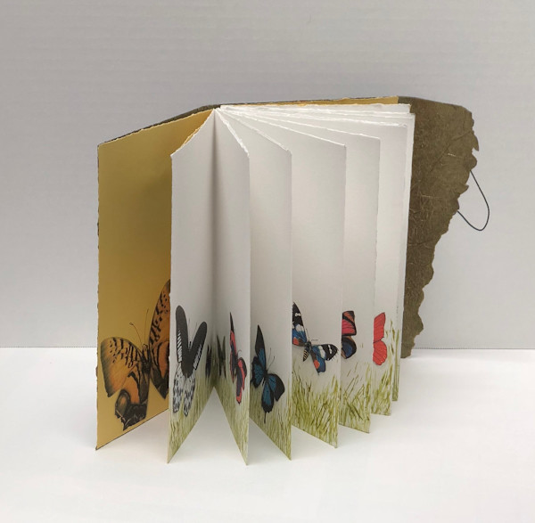 Flutter Book by Janet Hickey, Image 1.