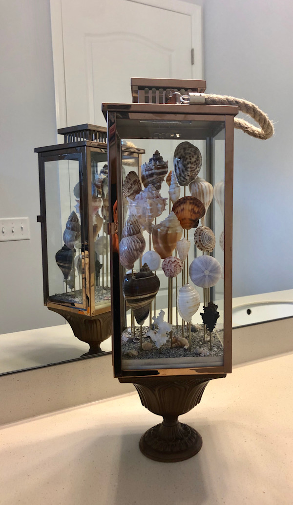 Shell Cloche by Janet Hickey, Image 1.