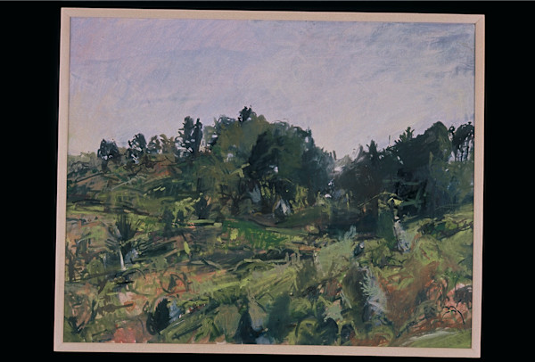 Spring Hillside, Inspiration Trail by Betsy Kendall, Image 1.