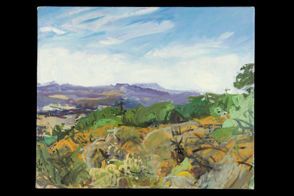 Chamise & Artemisia at Stagecoach Camp by Betsy Kendall, Image 1.