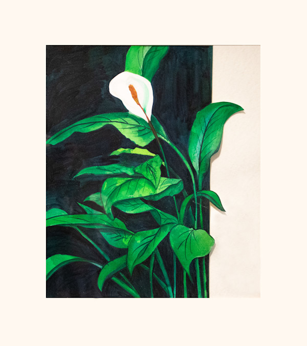 Calla Lily by Betty Bradley, FSPA