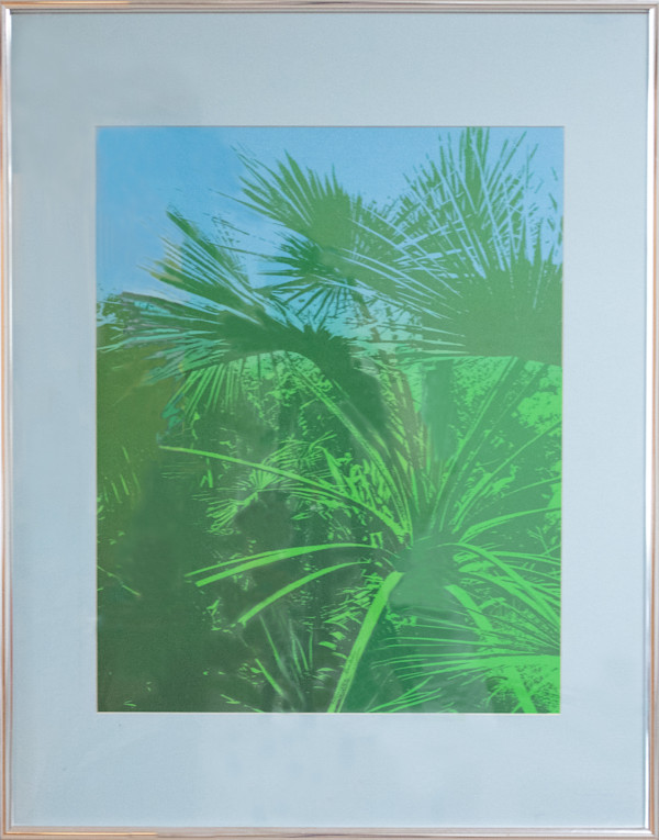 Green Palms by Maryam Gossling, FSPA