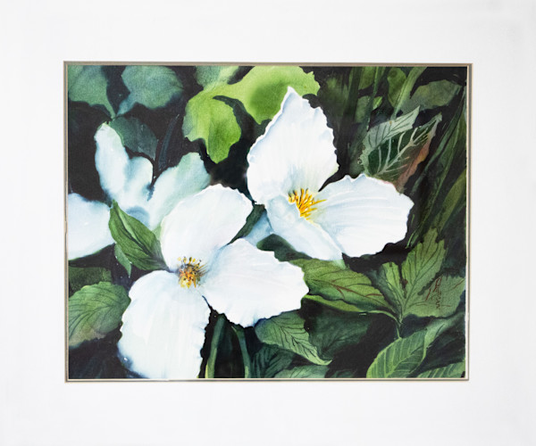 Trilliums by Margaret Ann Schlosser, FSPA