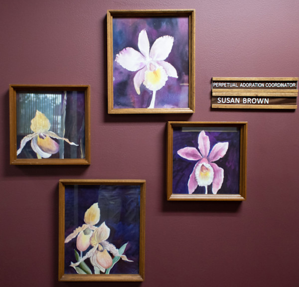 Iris Series by Pauline Wittry, FSPA