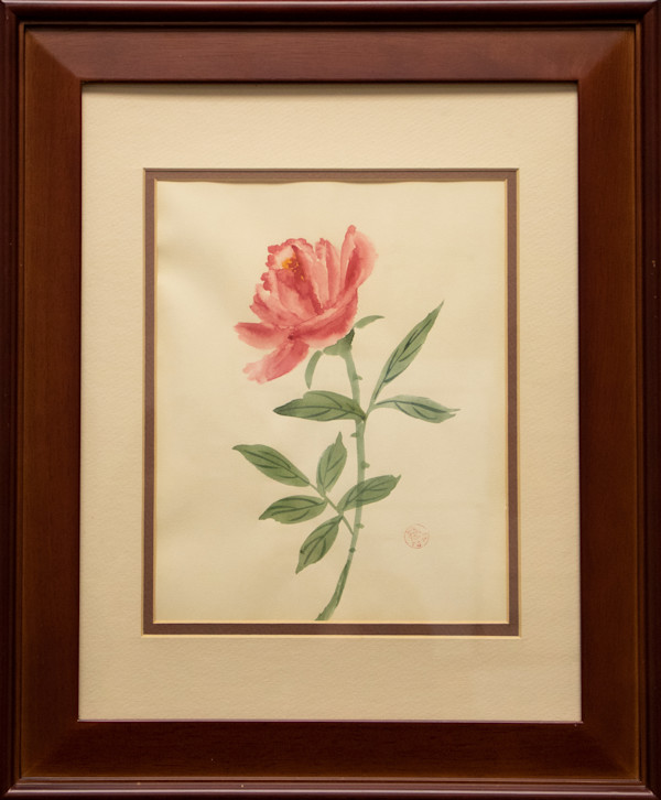 Rose by Marda Tsai, FSPA