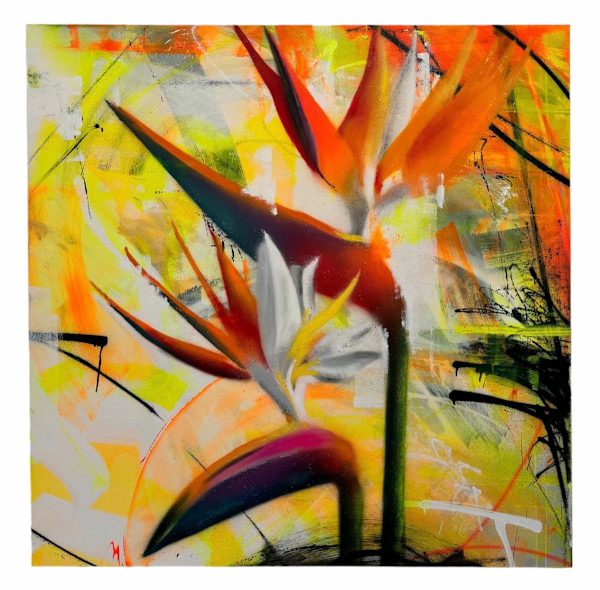 Bird of Paradise by Tragek, Image 5.