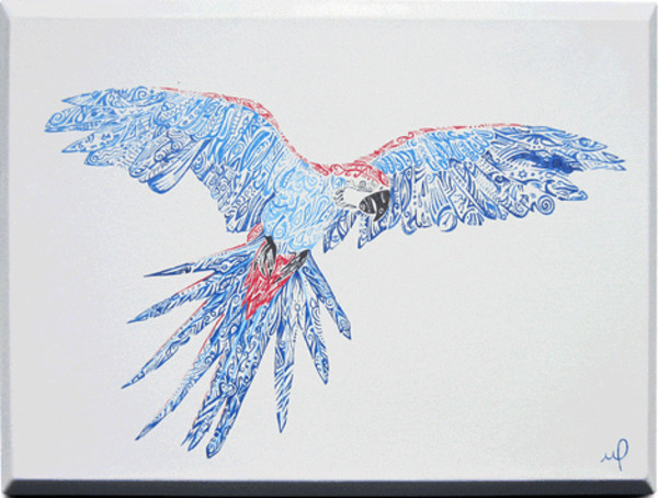 Macaw by Mirela Fioresy