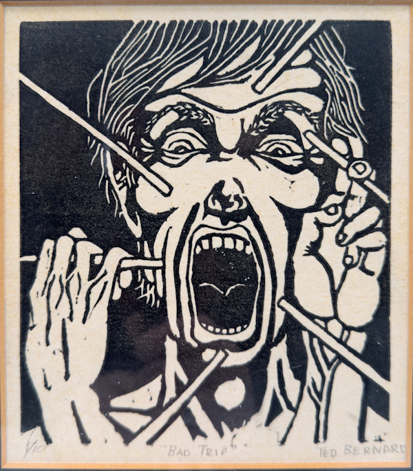 Bad Trip by Ted Bernard