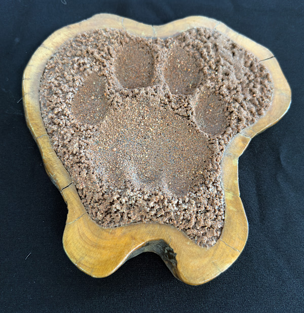 Lion paw print