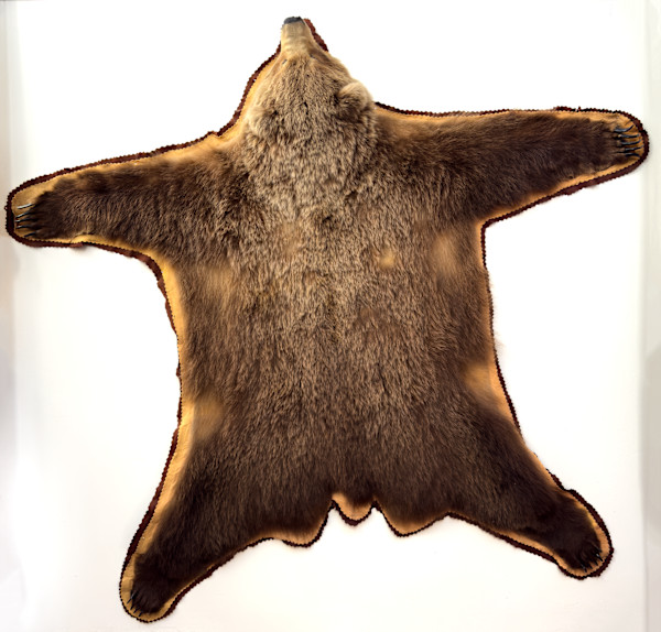 Brown bear skin