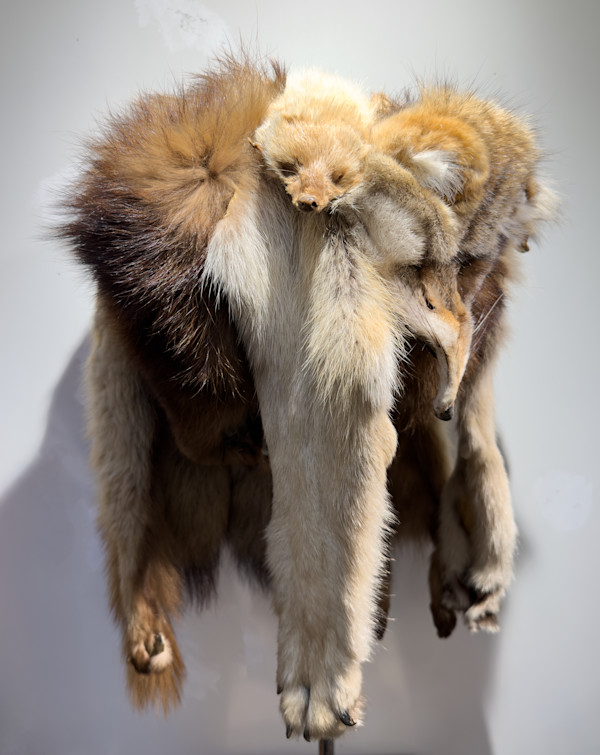 Fur hat