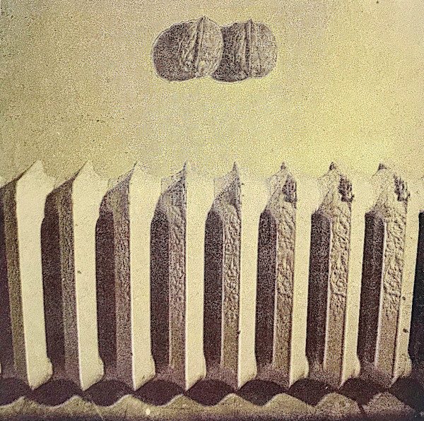 Wall Nuts by ppitussi, Image 1.