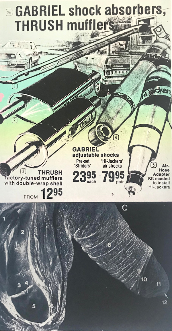 Shock Absorbers by ppitussi, Image 1.