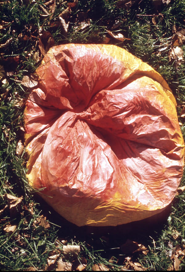 Red Bag by Pita Pitussi, Image 8.