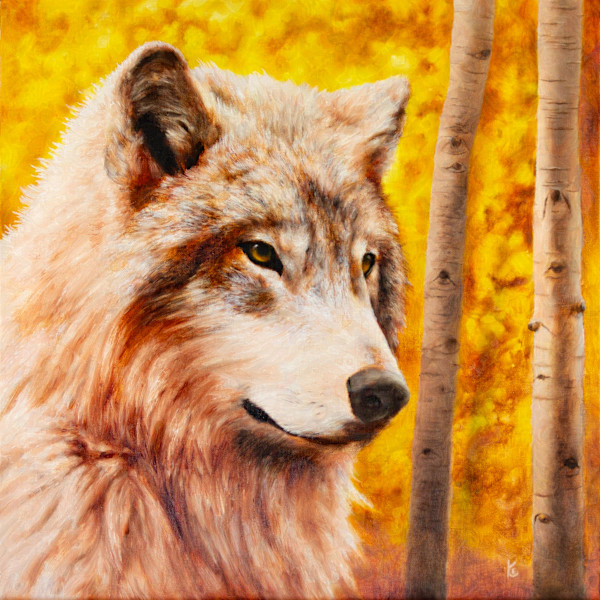 Wolf Among the Aspens Glow by Krister Eide, Image 1.
