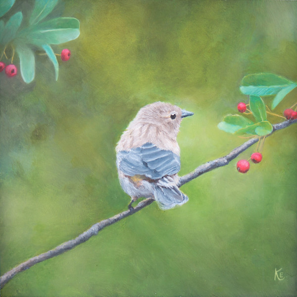 First Breath of Spring - Myrtle Warbler by Krister Eide