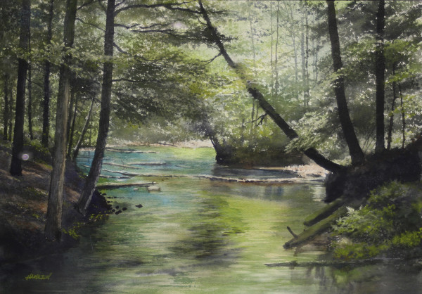 Emerald River 2000 by Bill  Hamilton