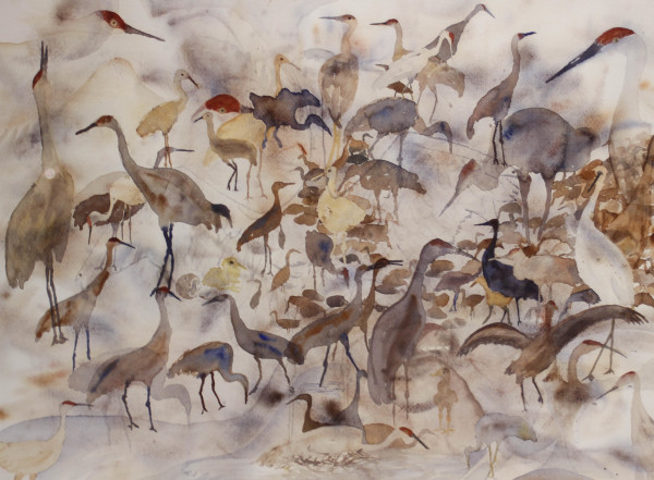 800 Cranes - Hope? by Sue Robashaw
