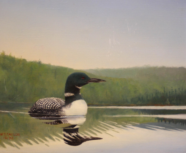 Loon by William E, Taylor
