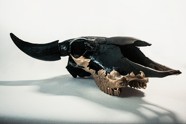 Bison Skull 2 by Peter Vu