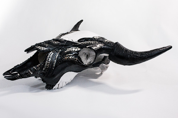 Bison Skull 1 by Peter Vu