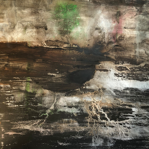 The gullies of 1965 by Janet Heekin