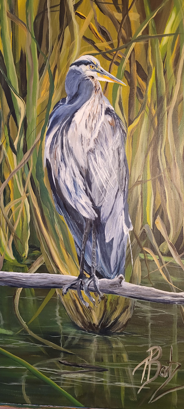 My handsome bird by Teresa Bartz