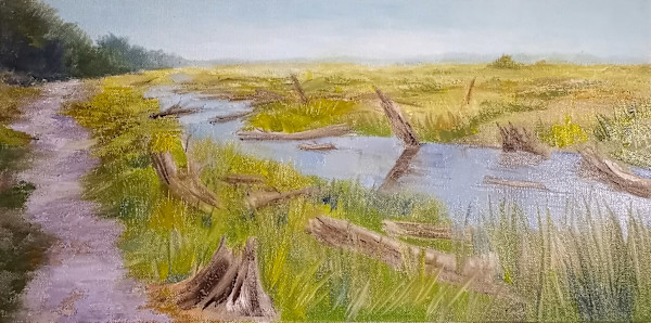 Between Land and Sea by Robbie Hosegood