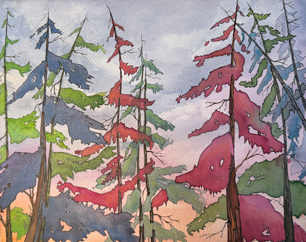 Whispers of the Canopy by Tammy Bailey