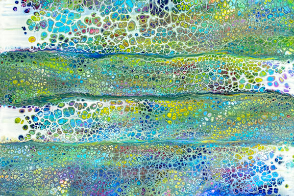 Cellular Dreams by Marika Morissette, Image 1.