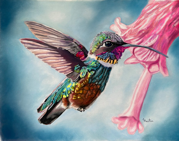 Hummingbird by Elayne Preston, Image 1.